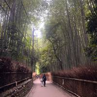 De essentie van Japan – One Life Adventures – 13 dagen: foto van de reiziger #3