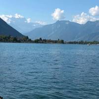 Swiss Miracle traveler photo #1