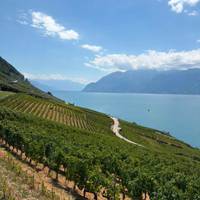 Swiss Miracle traveler photo #2