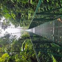 Die Essenz Costa Ricas - Reisepaket mit Nationalpark Manuel Antonio Reise-Foto #3