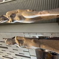 Onsterfelijk Egypte – GEM &amp; 5-sterrenaccommodatie: foto van de reiziger #2