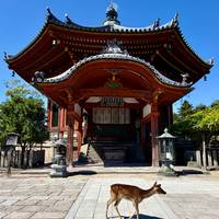 Best of Osaka, Kyoto and Hiroshima 6 Days traveler photo #2