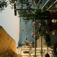 Taj Mahal & Rajasthan with Royal Stay at Castles traveler photo #1