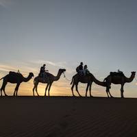 4-daagse privé Sahara tour vanuit Marrakech: UNESCO sites, Dades Vallei &amp; Merzouga Woestijn: foto van de reiziger #3