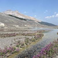 Photo de voyageur Rocheuses canadiennes (12 destinations) #2