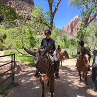 Photo de voyageur Les points forts des Canyonlands #3