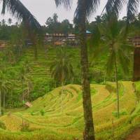 Wanderlands Bali - 8 Tage Reise-Foto #1