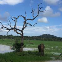 Fiets over de binnenwegen van Sri Lanka: foto van de reiziger #1