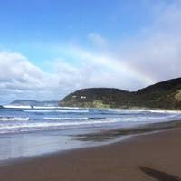 Great Ocean Road & wandeling door het regenwoud - 1 dag: foto van de reiziger #2