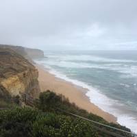 Great Ocean Road & wandeling door het regenwoud - 1 dag: foto van de reiziger #3