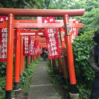 Japan – Tokio, Fuji, Kyoto, Nara, Osaka & verder – 13 dagen: foto van de reiziger #3