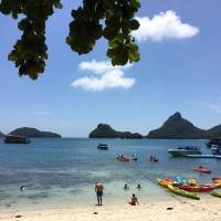 Thailand Beaches: Bangkok to Ko Samui traveler photo #3