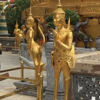 Thailand Beaches: Bangkok to Ko Samui traveler photo #1