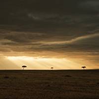 Kenya Wildlife Safari traveler photo #3