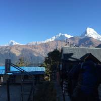 Ghorepani Poon Hill Trek traveler photo #3