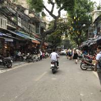 Photo de voyageur Introduction au Vietnam - 12 jours #1