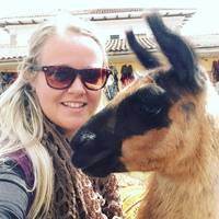 De Inca-trail: foto van de reiziger #3