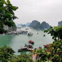 Lo mejor de Hanói, Ninh Binh y la Bahía de Halong en 6 días: foto del viajero #1