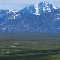 Alaska Denali Expedition - 12 Days traveler photo #1