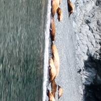 Alaska Denali Expedition - 12 Days traveler photo #2