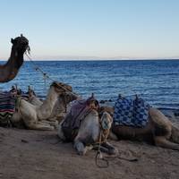 Experience Egypt & Jordan – 5* Cruise traveler photo #3