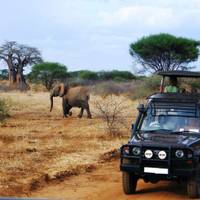 Photo de voyageur Safari en camping au Kenya et en Tanzanie #1