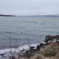 Photo de voyageur 3 jours sur l