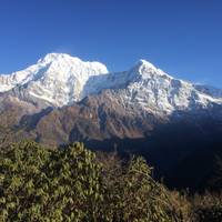 Photo de voyageur Trek du Mardi Himal #1