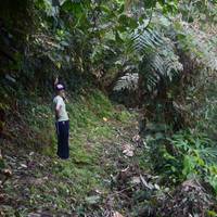 Kolumbien - Santa Marta, Tayrona Nationalpark und die "Verlorene Stadt" Reise-Foto #2