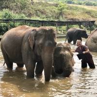 A 5 Day Tuk Tuk Adventure in beautiful Chiang Mai traveler photo #1