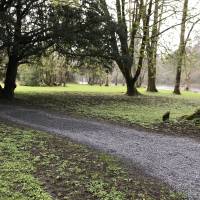 5-Daagse Noord-Ierland & Atlantische Kust Rondreis in kleine groep vanuit Dublin: foto van de reiziger #1