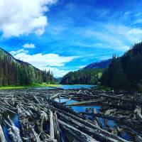 Premium - rondreis door de Rockies - vanuit Vancouver - 34 zitplaatsen: foto van de reiziger #1