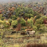 Wandeltocht naar Zagori & Meteora: foto van de reiziger #1