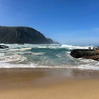 De Tuinroute & Addo - een avonturenreis in kleine groep - enkele reis - 5 dagen: foto van de reiziger #1