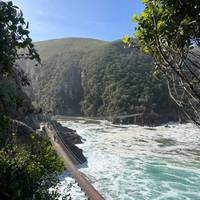 De Tuinroute & Addo - een avonturenreis in kleine groep - enkele reis - 5 dagen: foto van de reiziger #3