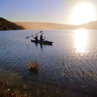 Escapada de 3 días al Kruger safari en la sabana: foto del viajero #3