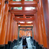 Japan klassiek – One Life Adventures – 10 dagen: foto van de reiziger #3