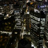Oz Intro traveler photo #3
