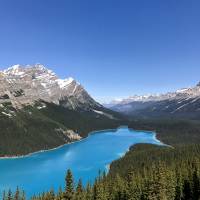 Caribou - Ontdek het beste van de Rockies: foto van de reiziger #2