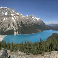 Coho - Die Nationalparks Banff & Jasper Reise-Foto #2