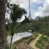 Bali Experience traveler photo #1