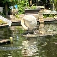 Lo mejor de Holanda: foto del viajero #2