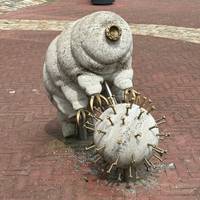 Lo mejor de Holanda: foto del viajero #3