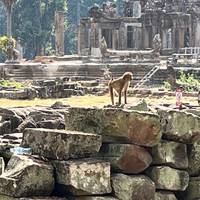 Photo de voyageur Grandes aventures en Indochine et en Thaïlande 25 jours #3