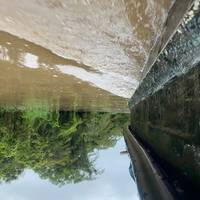 Aventura en barco por el Amazonas a fondo: foto del viajero #1