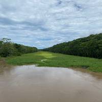 Aventura en barco por el Amazonas a fondo: foto del viajero #3
