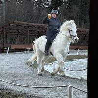 Nordlicht-Erkundung - 8 Tage Reise-Foto #3