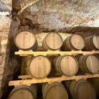 Prueba a Salento y vive una experiencia culinaria auténtica: foto del viajero #3