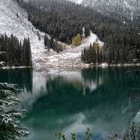 Caribou - Discover the Best of the Rockies traveler photo #3