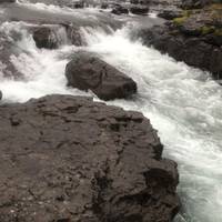 8 Day - Iceland Ring Road Tour traveler photo #1